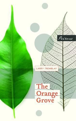 Cover image for The Orange Grove