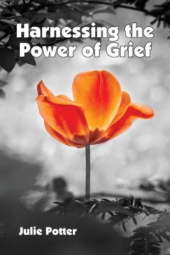 Cover image for Harnessing the Power of Grief