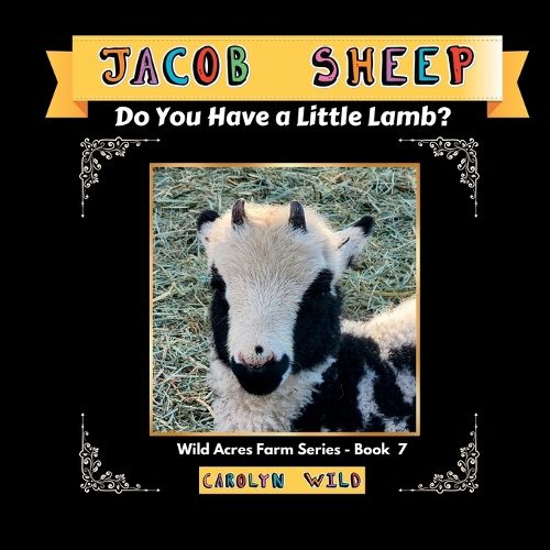 Cover image for Jacob Sheep