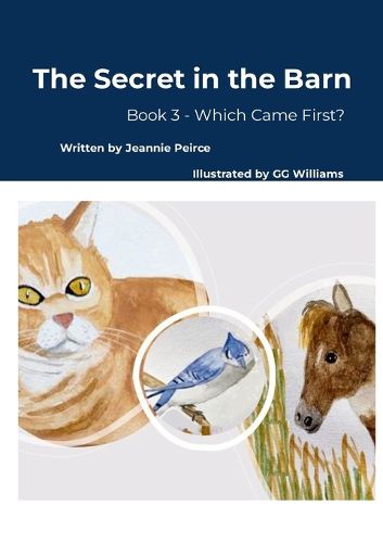 Cover image for The Secret in the Barn