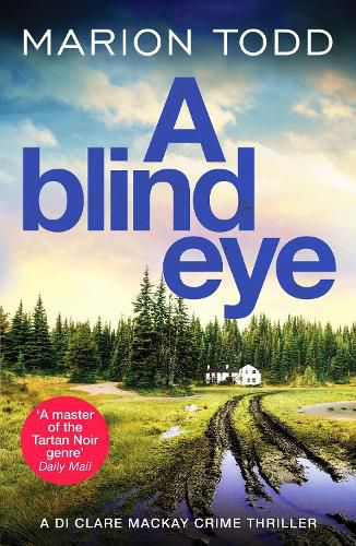 Cover image for A Blind Eye