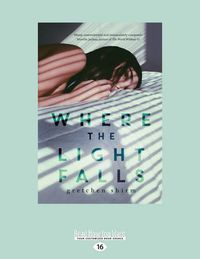 Cover image for Where the Light Falls