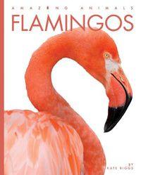 Cover image for Flamingos