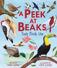Cover image for A Peek at Beaks: Tools Birds Use