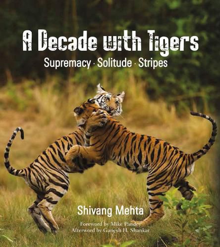 Cover image for A Decade with Tigers: Supremacy. Solitude. Stripes