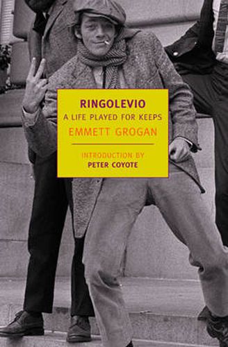 Cover image for Ringolevio