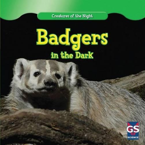 Cover image for Badgers in the Dark