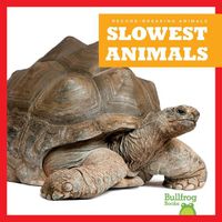 Cover image for Slowest Animals