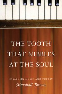 Cover image for The Tooth That Nibbles at the Soul: Essays on Music and Poetry
