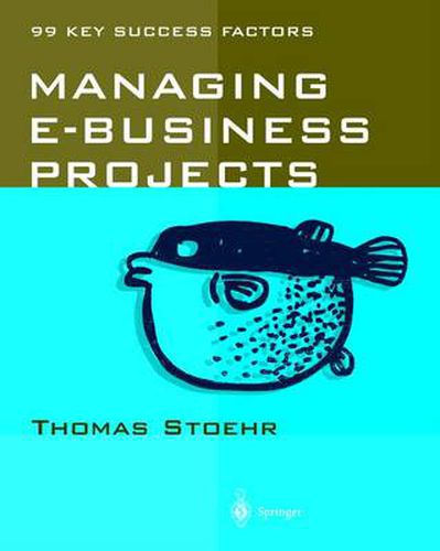 Managing e-business Projects: 99 Key Success Factors