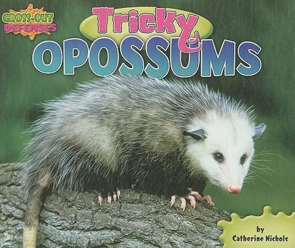 Tricky Opossums