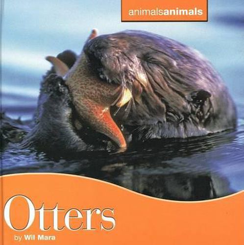 Cover image for Otters