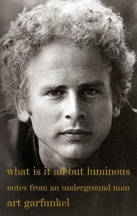 Cover image for What Is It All but Luminous: Notes from an Underground Man