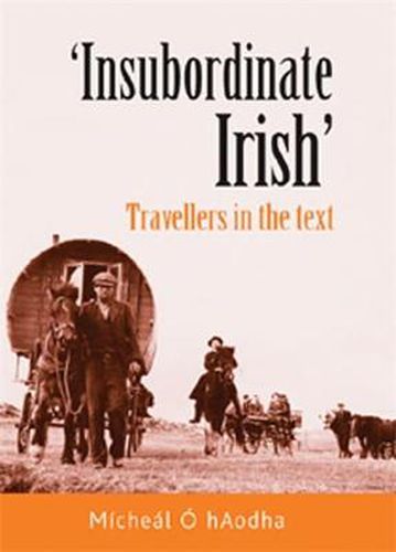 Cover image for Insubordinate Irish: Travellers in the Text