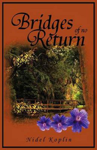 Cover image for Bridges of No Return