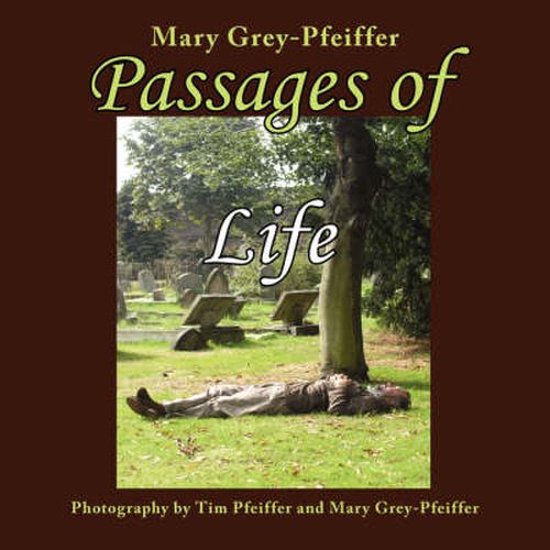 Cover image for Passages of Life