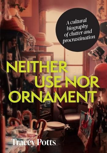 Cover image for Neither Use nor Ornament