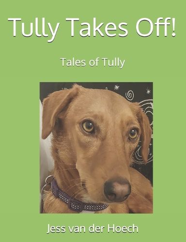 Cover image for Tully Takes Off!