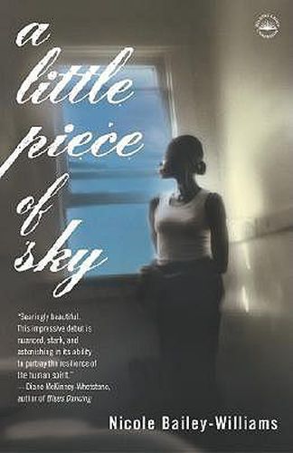 A Little Piece of Sky: A Novel