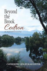 Cover image for Beyond the Brook Cedron: An Inspirational Journey