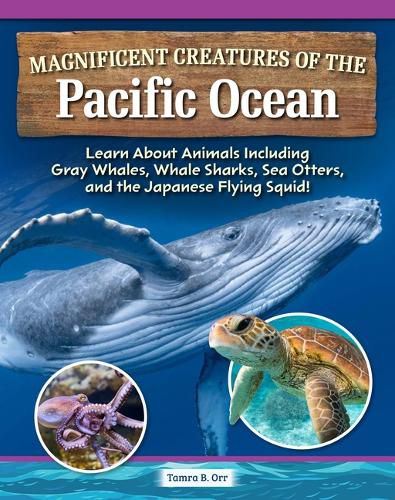 Cover image for Magnificent Creatures of the Pacific Ocean