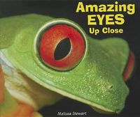 Cover image for Amazing Eyes Up Close