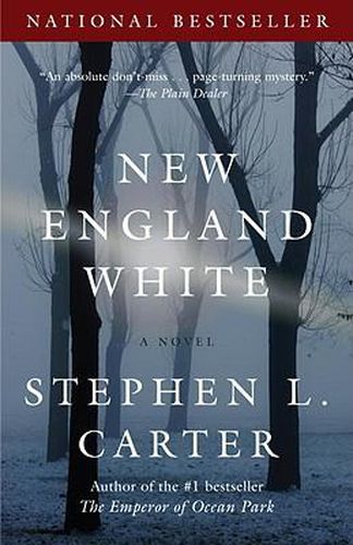 Cover image for New England White: A Novel