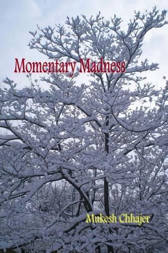 Cover image for Momentary Madness