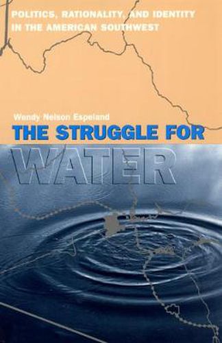 Cover image for The Struggle for Water: Politics, Rationality and Identity in the American Southwest