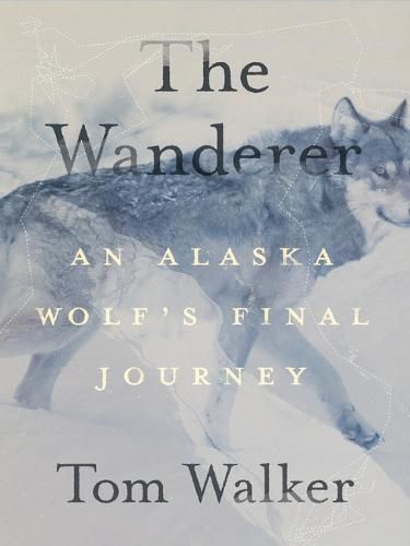 Cover image for The Wanderer: An Alaska Wolf's Final Journey