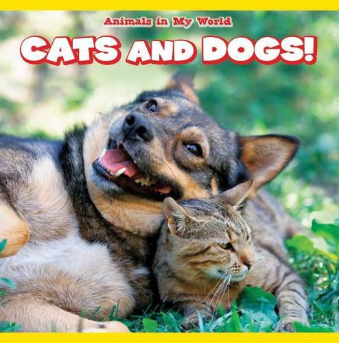 Cover image for Cats and Dogs!