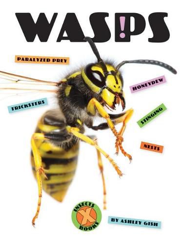 Cover image for Wasps