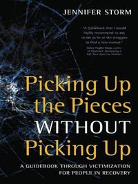 Cover image for Picking Up the Pieces without Picking Up: A Guidebook Through Victimization for People in Recovery