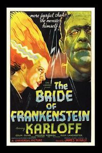 Cover image for The Bride of Frankenstein