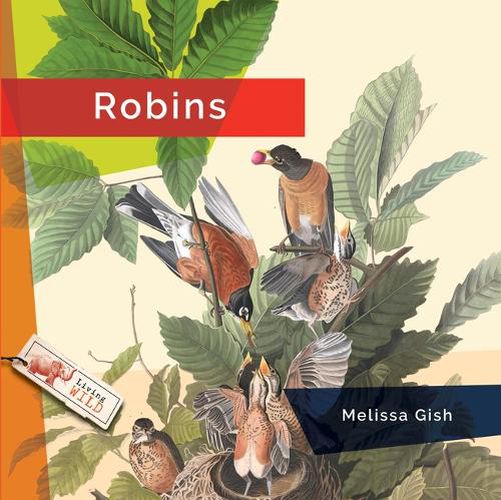 Cover image for Robins