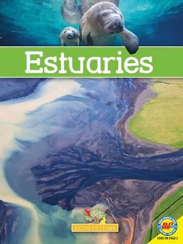 Cover image for Estuaries
