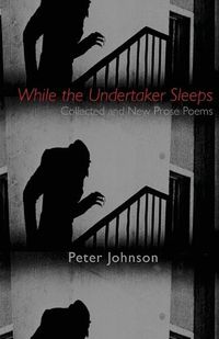 Cover image for While the Undertaker Sleeps