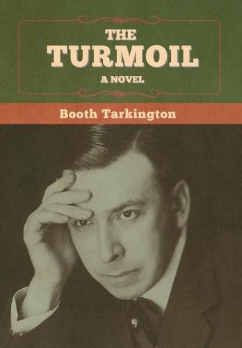 Cover image for The Turmoil