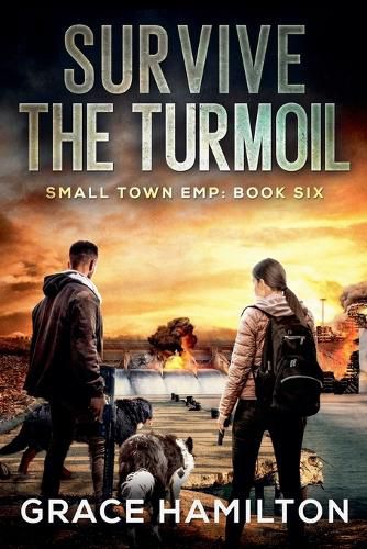 Cover image for Survive the Turmoil