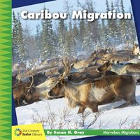 Cover image for Caribou Migration