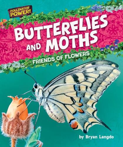 Cover image for Butterflies and Moths