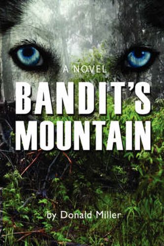 Cover image for Bandit's Mountain