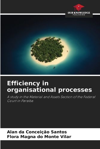 Cover image for Efficiency in organisational processes
