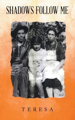 Cover image for Shadows Follow Me