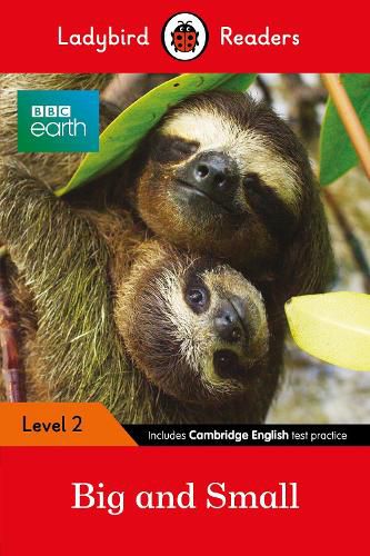 Cover image for Ladybird Readers Level 2 - BBC Earth - Big and Small (ELT Graded Reader)