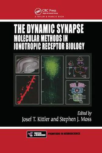 The Dynamic Synapse: Molecular Methods in Ionotropic Receptor Biology