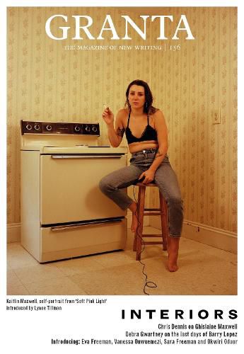 Cover image for Granta 156: Interiors