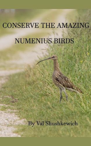 Cover image for Conserve the Amazing Numenius Birds