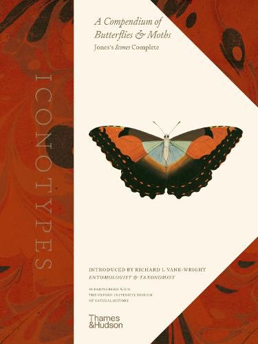 Cover image for Iconotypes: A compendium of butterflies and moths. Jones's Icones Complete