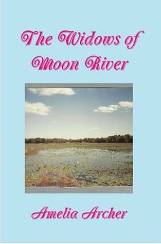 Cover image for The Widows of Moon River